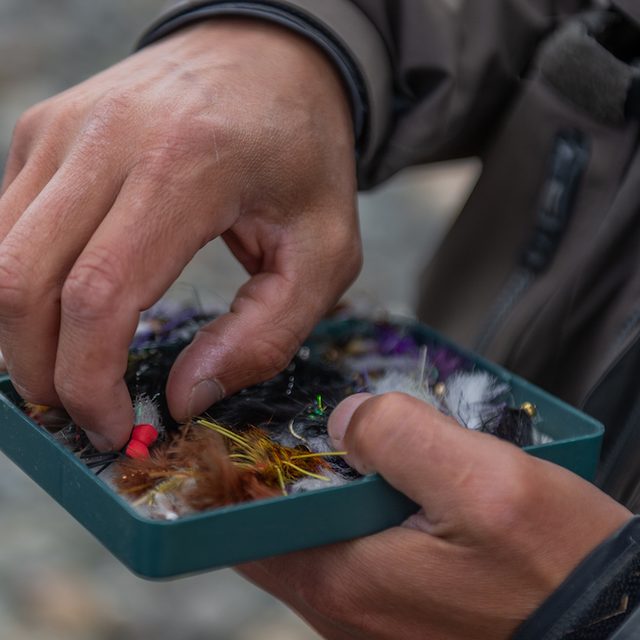 Choosing the fly of the day
